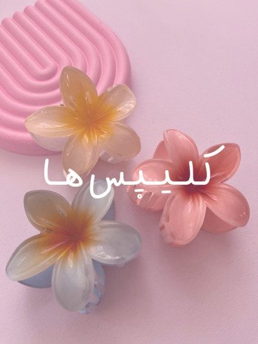 گیره انبری🎈